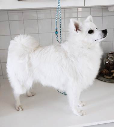 img_20181015_104809__01__01