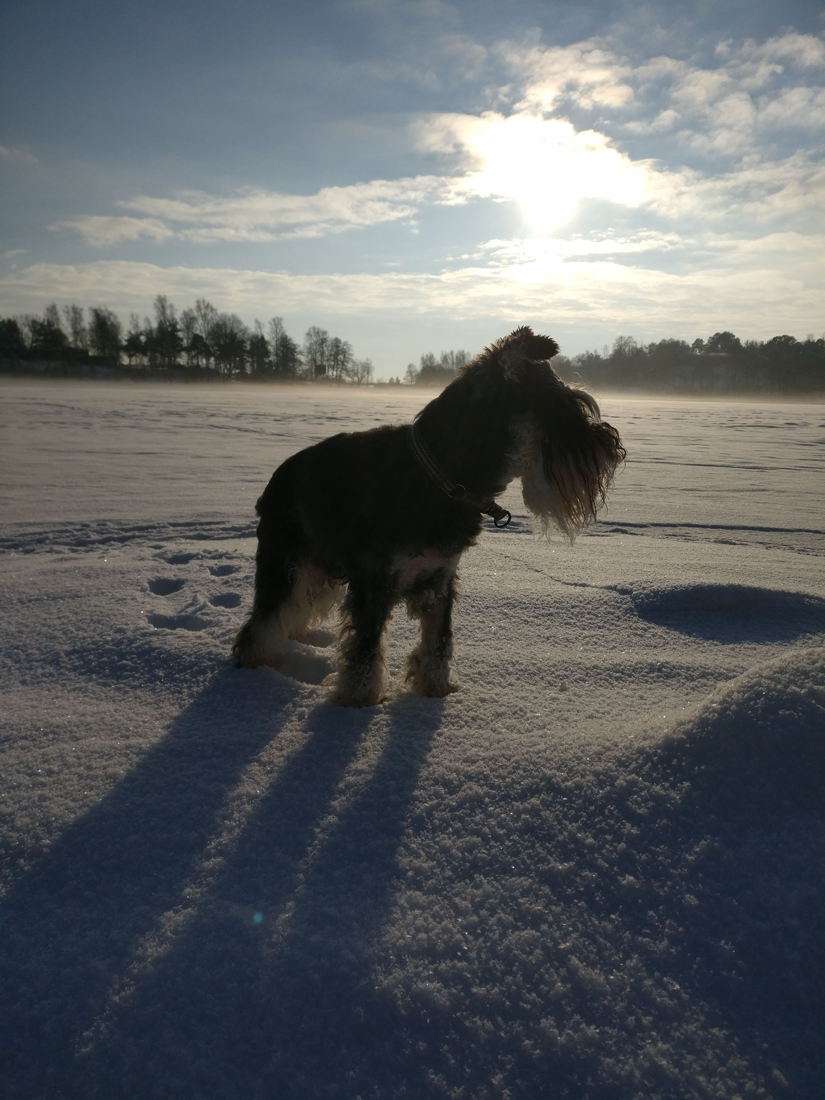 img_20190131_130832_01